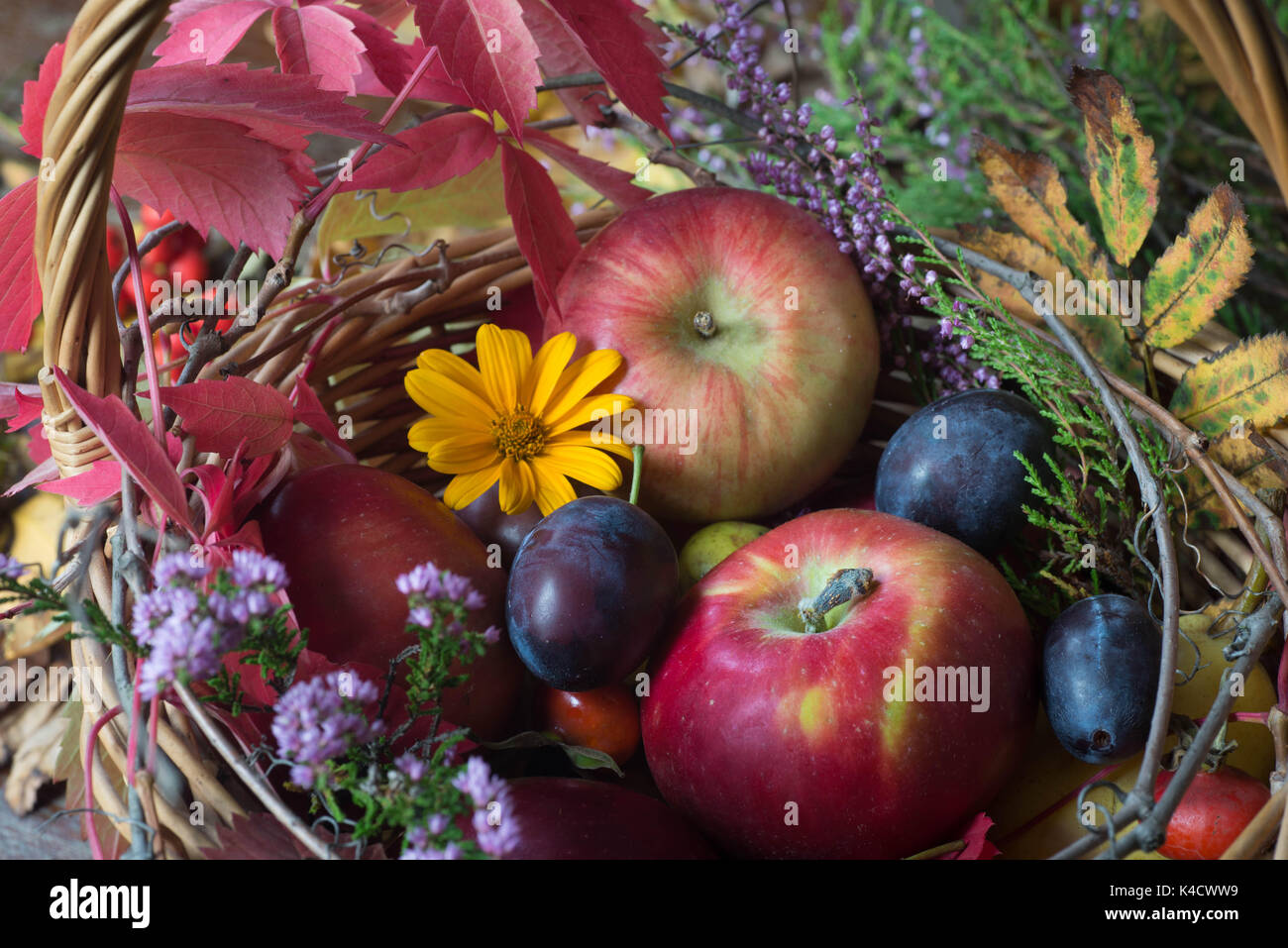 fall fruits, flowers and leaves  in basket still life closeup Stock Photo