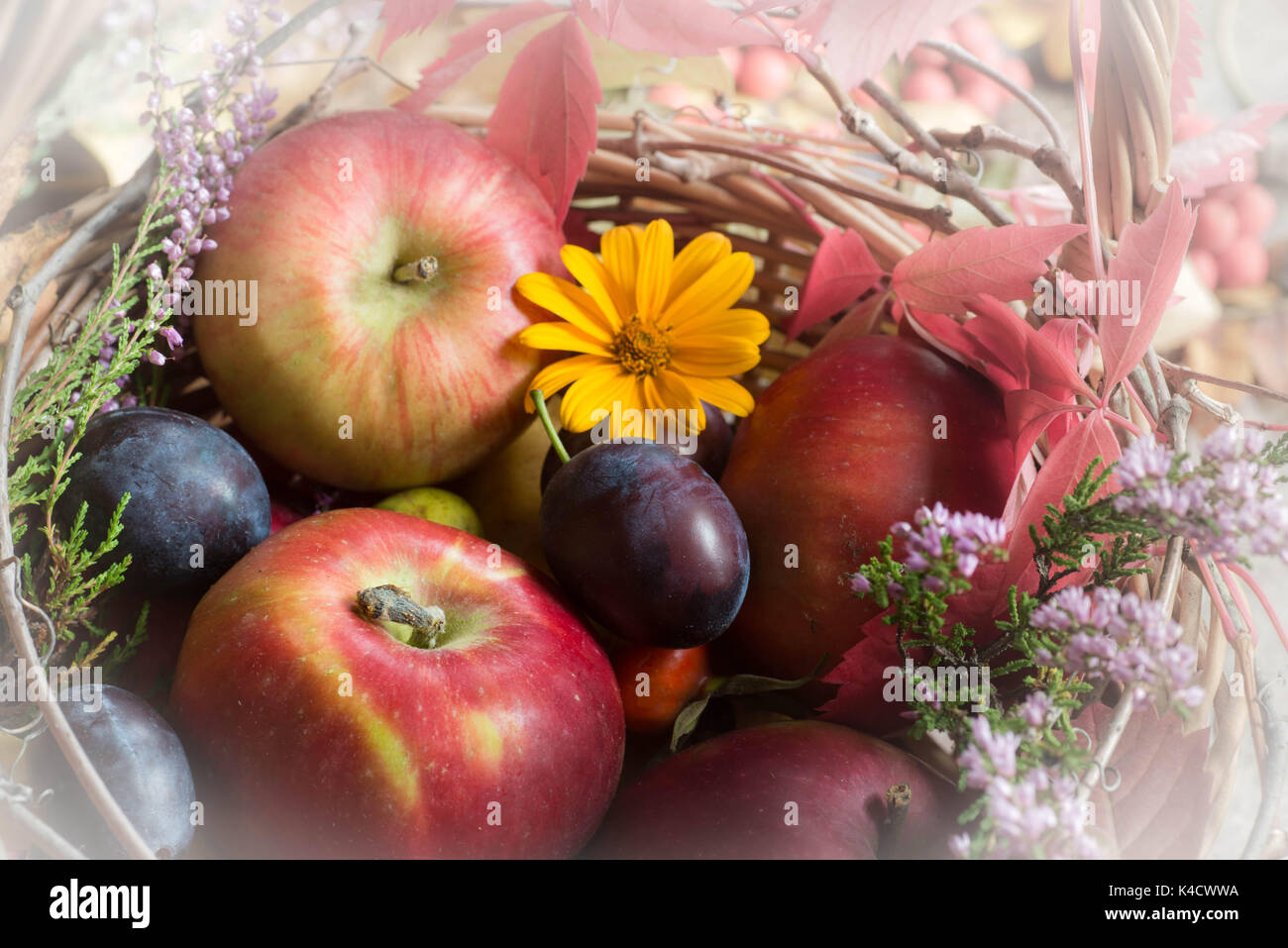 fall fruits, flowers and leaves  in basket still life closeup Stock Photo