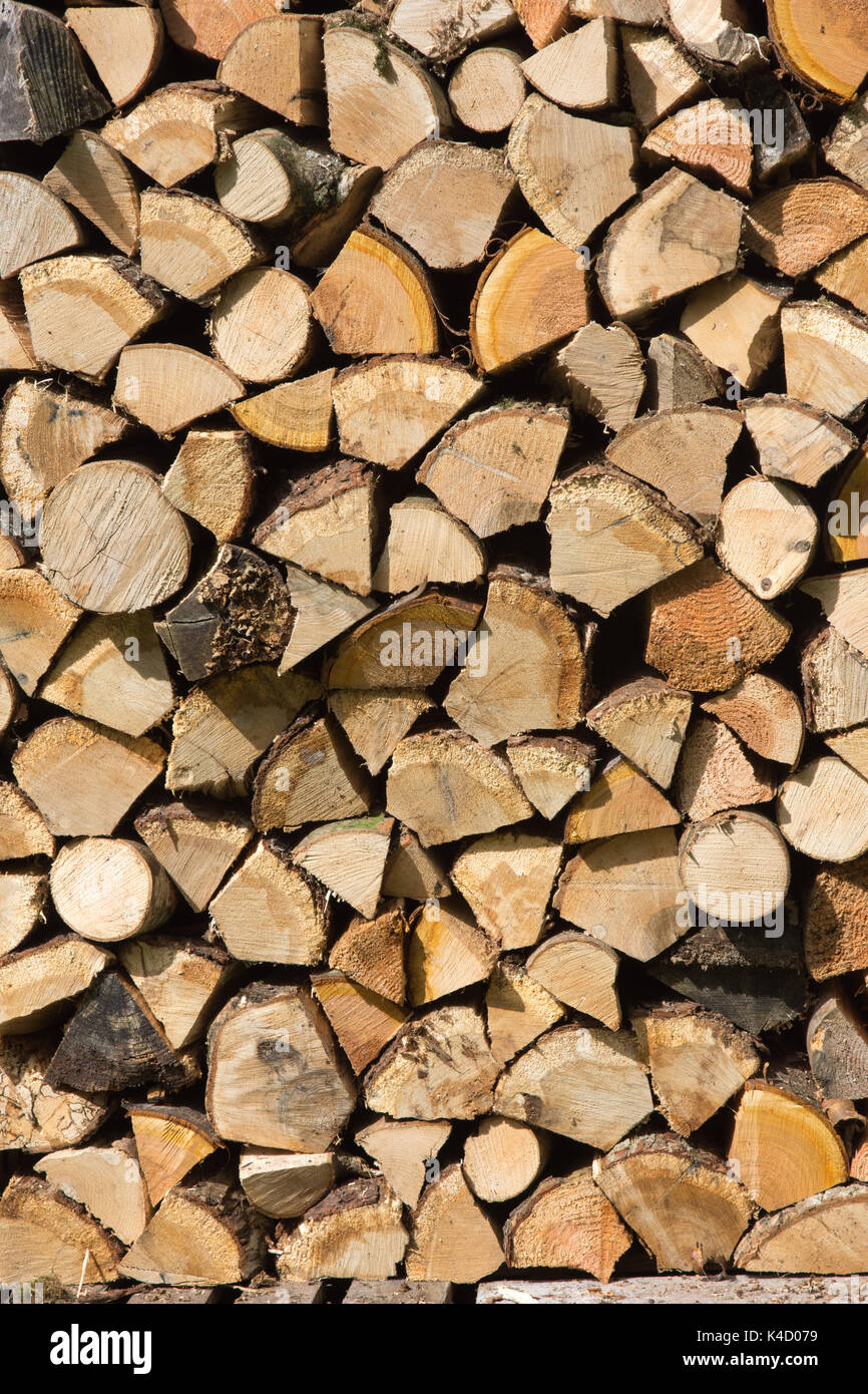 Cut ash tree logs fraxinus hi-res stock photography and images - Alamy