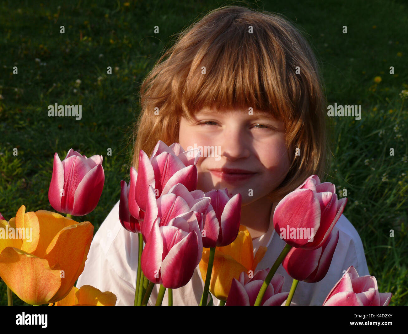 Little Girl Smelling Tulips Stock Photo - Alamy