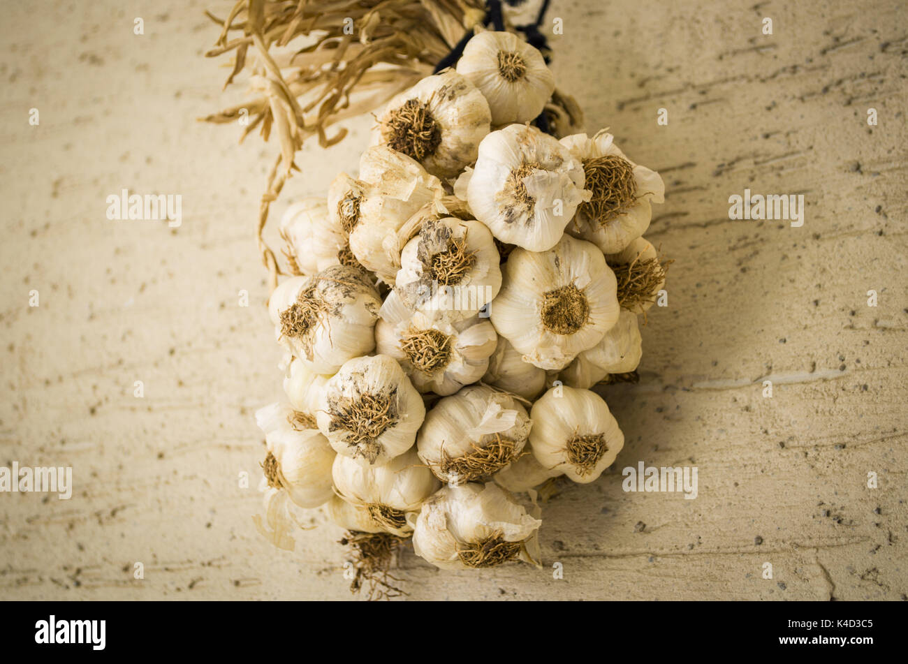 Garlic hanging on the wall Stock Photo
