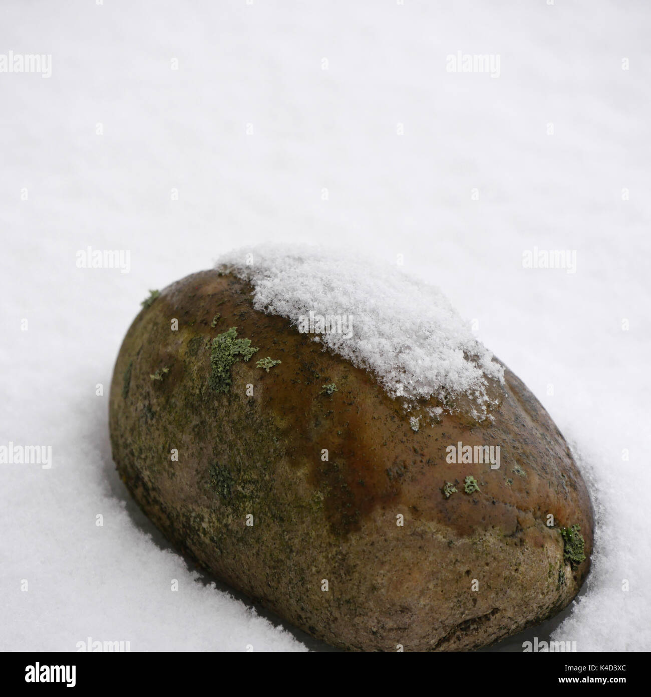 Stone In The Snow, Covered With Snow Crystals And Ice Crystals Stock Photo