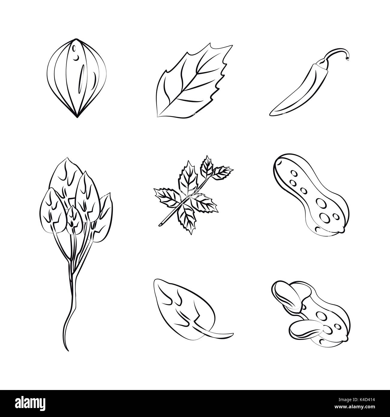 Spices herbs black vector hi-res stock photography and images - Alamy