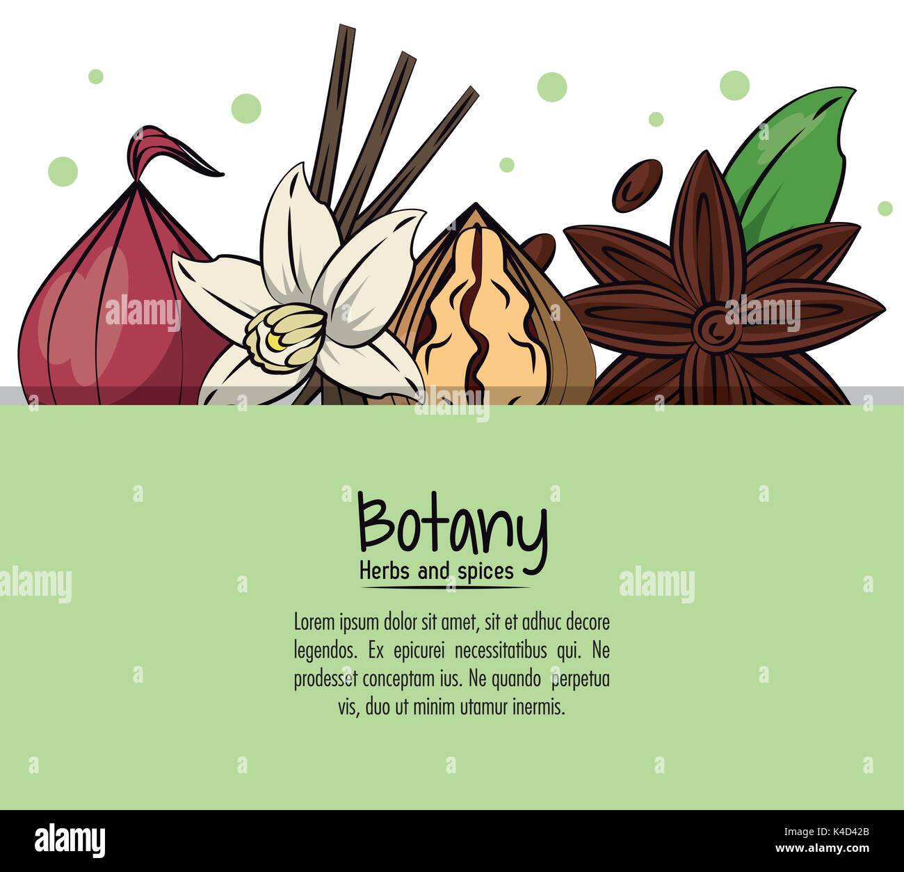 Botany herbs and spices Stock Vector Image & Art - Alamy