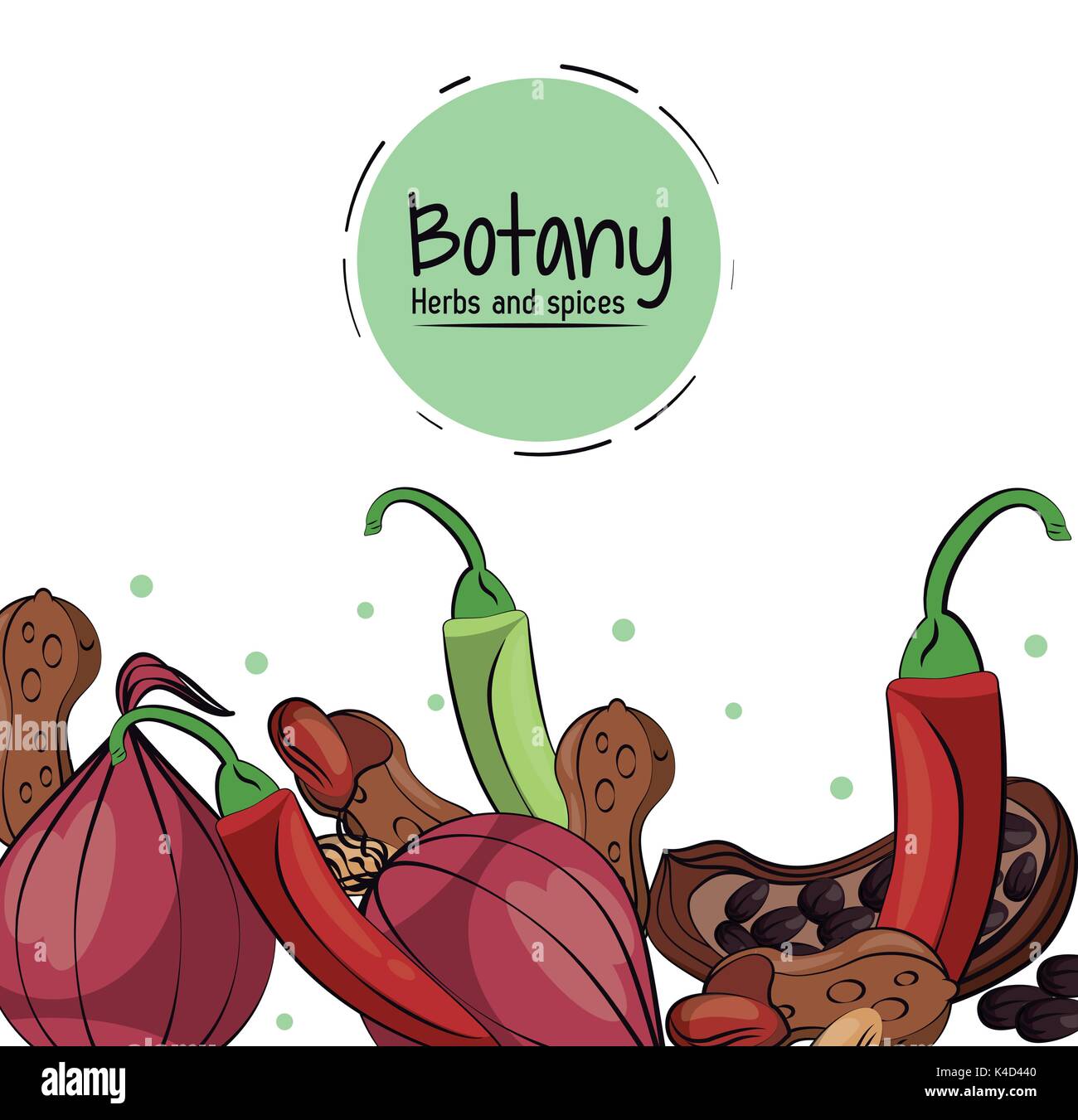 Botany herbs and spices Stock Vector Image & Art - Alamy