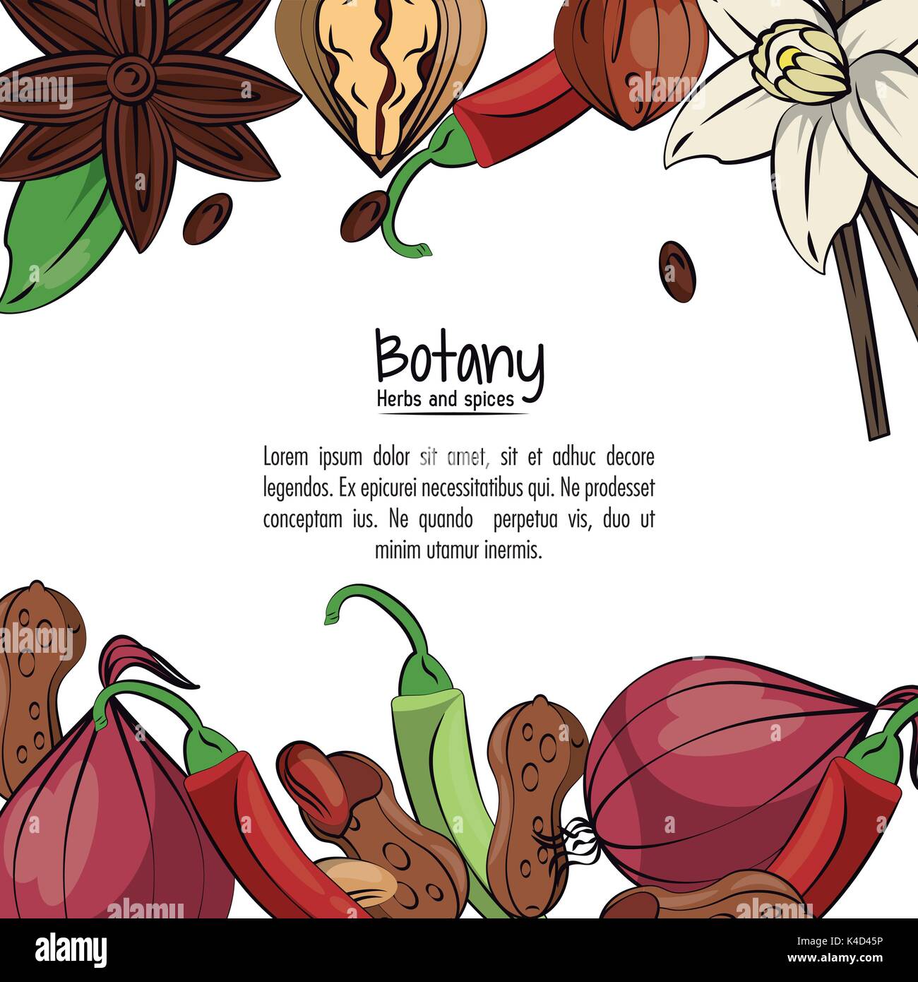 Botany herbs and spices Stock Vector Image & Art - Alamy