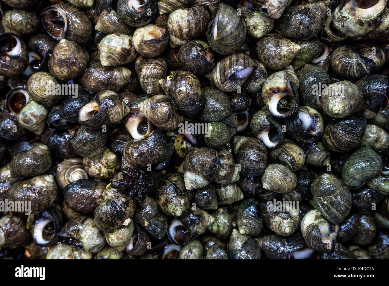 Eating snails france hires stock photography and images Alamy