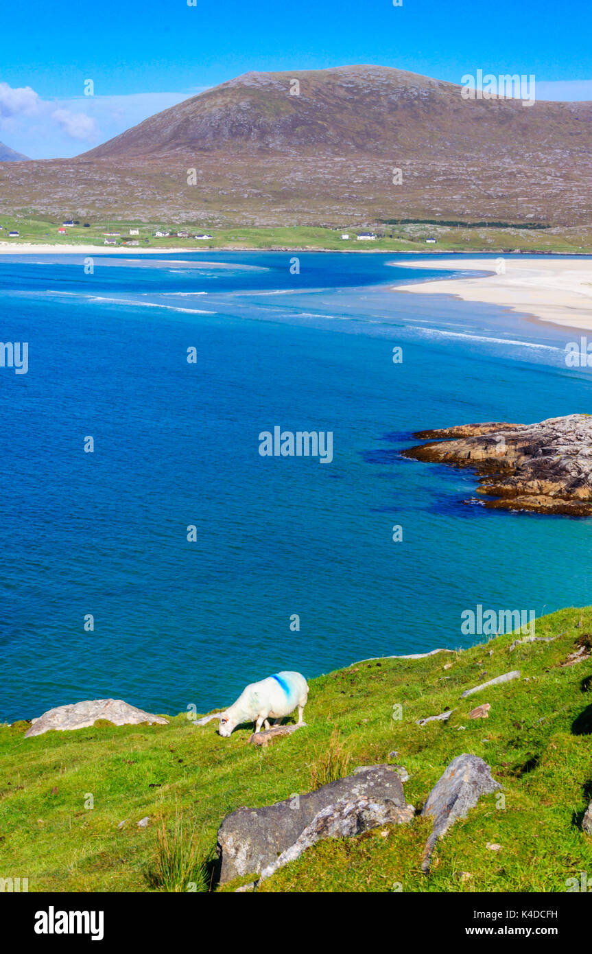 Luskentyre beach on the west coast of the Isle of Harris, Outer Hebrides, Scotland, UK on a bright sunny afternoon Stock Photo