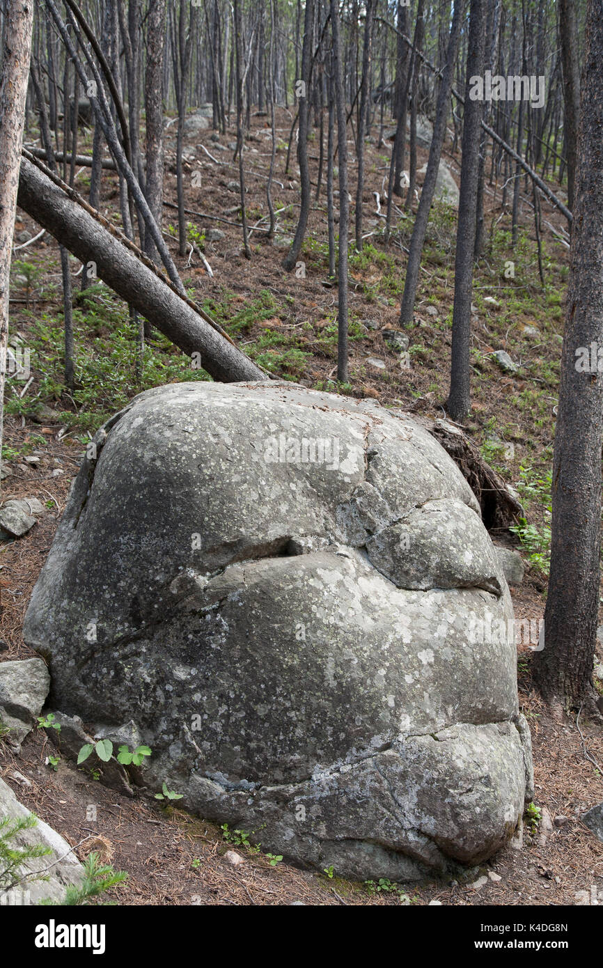 An anthropomorphic granite rock in the shape of a human head, found along Rock Creek near the north gate of the Beartooth Highway.  The latter is cons Stock Photo