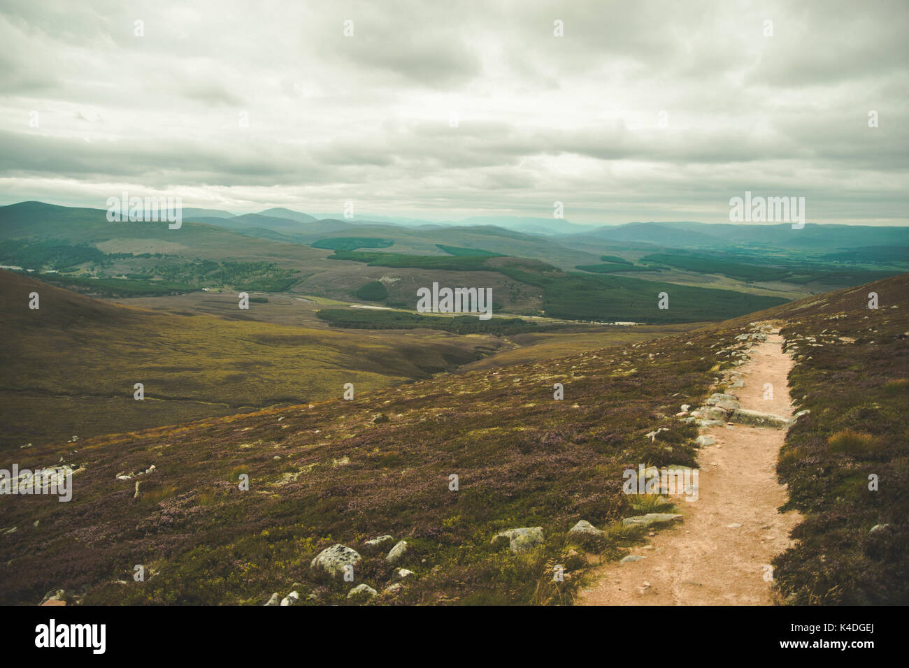 Cairngorm National Park, Scotland Stock Photo - Alamy