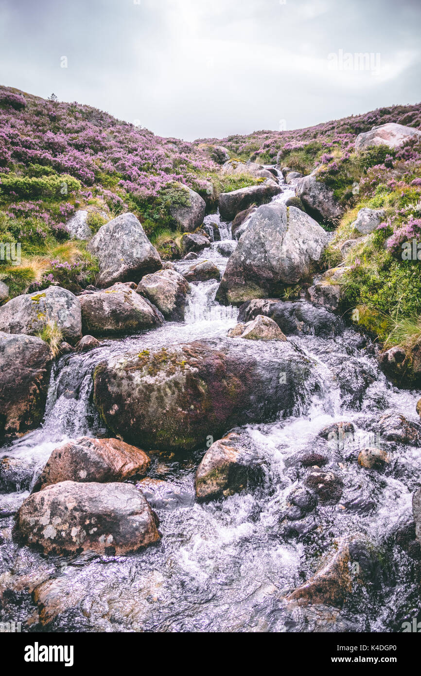 Cairngorm National Park Streams, Scotland Stock Photo