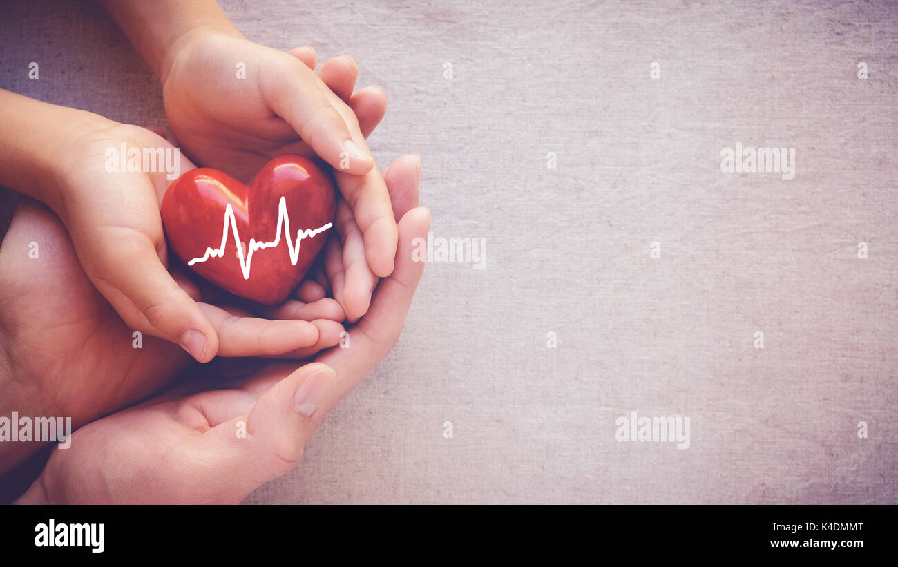 adult and child hands holiding red heart with cardiogram, health care love and family concept Stock Photo