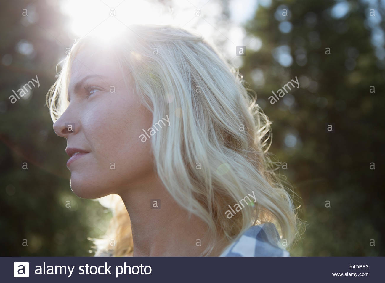 Blonde woman side view face hi-res stock photography and images - Alamy