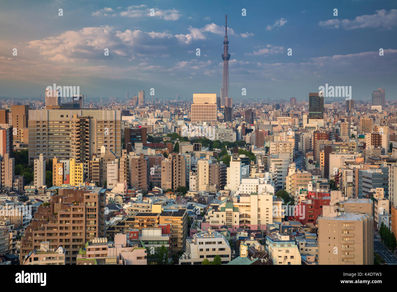 Tokyo. Cityscape image of Tokyo skyline during sunset in Japan. Stock Photo