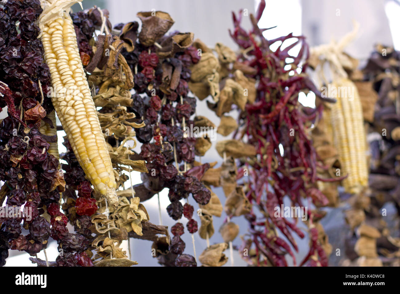 Dry vegetables and spices on  the ropes Stock Photo
