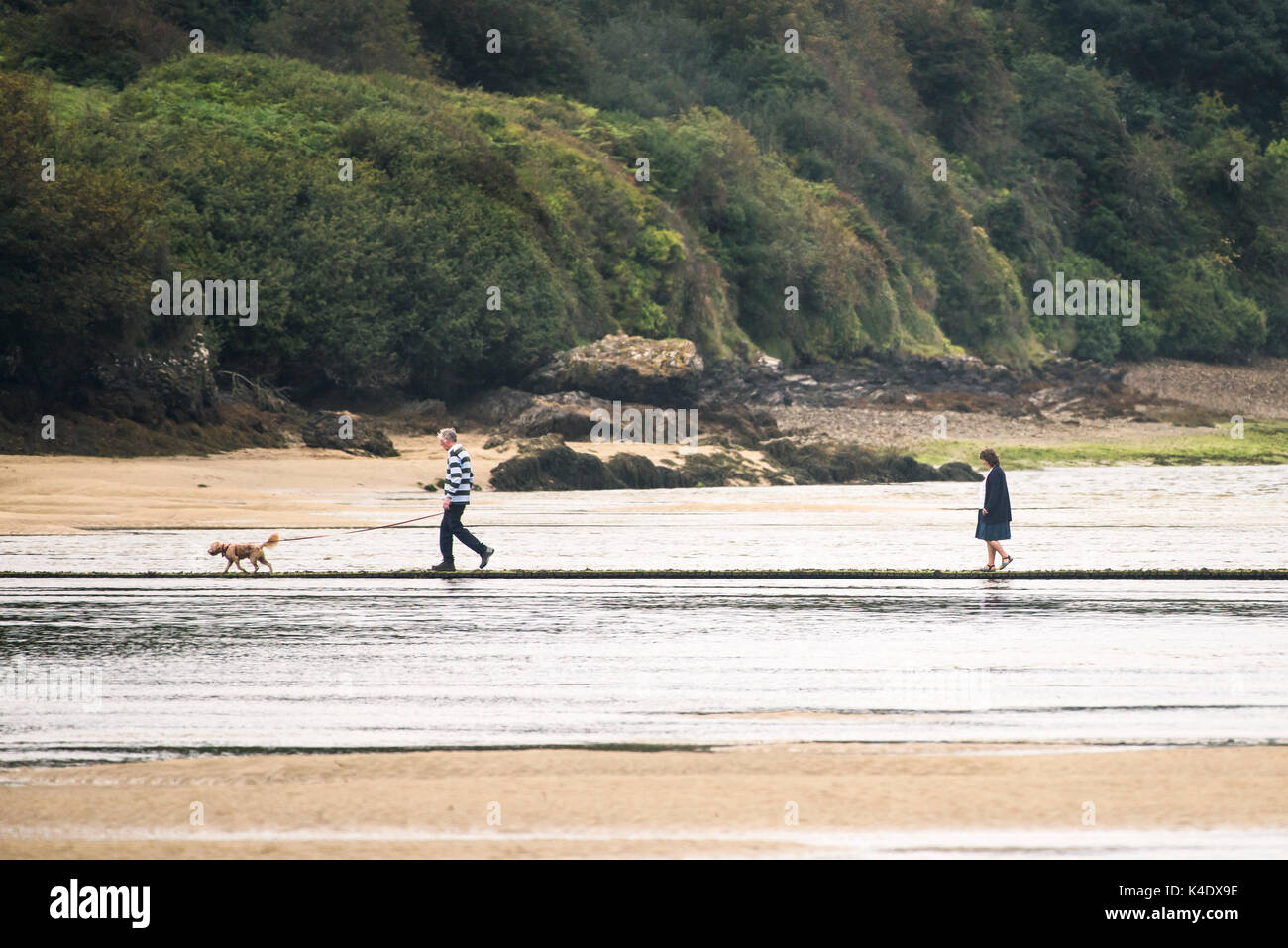 Gannel Estuary - a couple walking their pet dog on a footbridge over the Gannel River in Newquay, Cornwall. Stock Photo