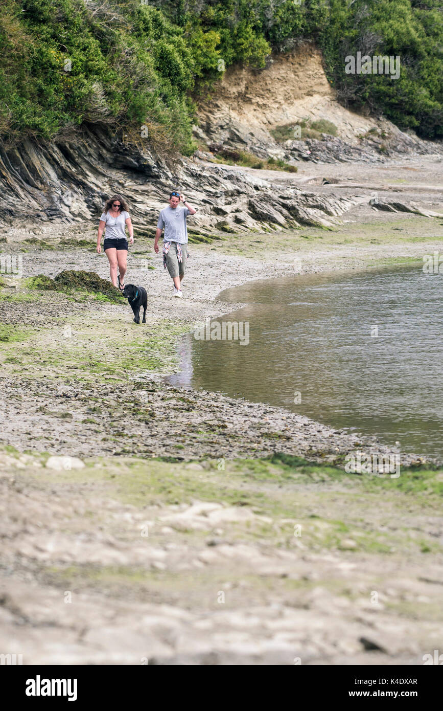 Gannel Estuary - a couple walking with their dog along the Gannel River at low tide in Newquay, Cornwall. Stock Photo