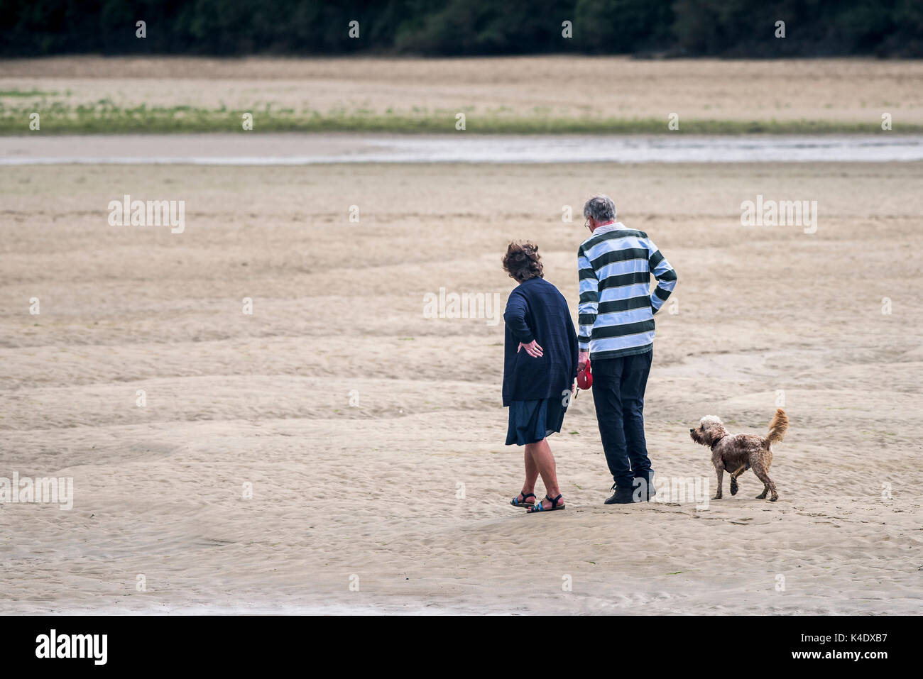 Gannel Estuary - a couple walking their pet dog on the exposed river bed of the Gannel River in Newquay, Cornwall. Stock Photo