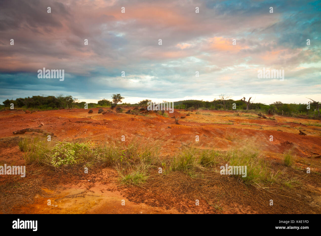 Panama landscape with evening light in the desert of Sarigua national park, Herrera province, Republic of Panama, Central America Stock Photo