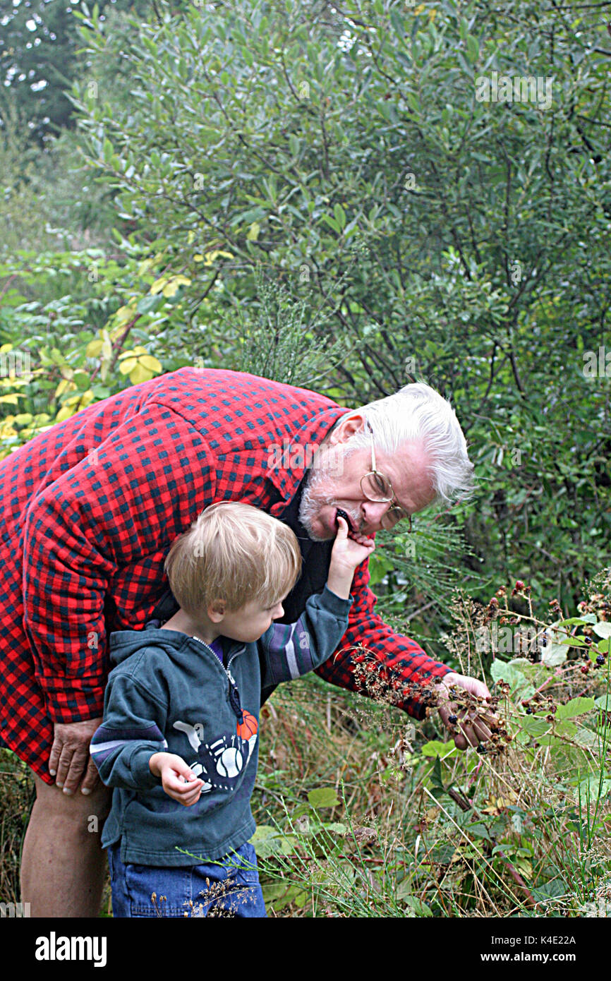 YOUNG BOY FEEDING BLACKBERRIES TO GRANDFATHER Stock Photo Alamy