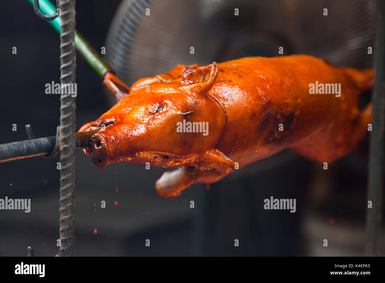 roast pig Stock Photo