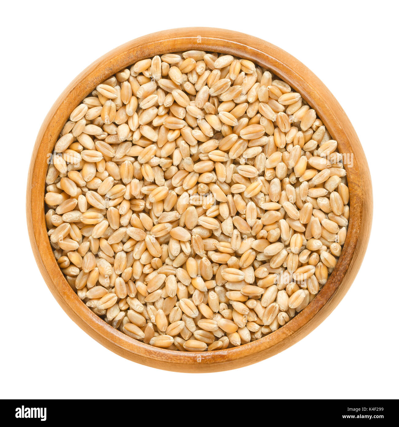 Common wheat in wooden bowl. Bread wheat. Crop, cereal grain and staple food. Seeds of Triticum aestivum. Isolated macro food photo close up. Stock Photo