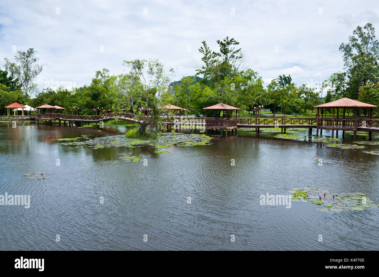 Taman Rekreasi Tasik Melati Perlis Malaysia Tasik Melati Is A Wetland With Its Wild Plant Locally Known As Kercit Stock Photo Alamy<script async src=
