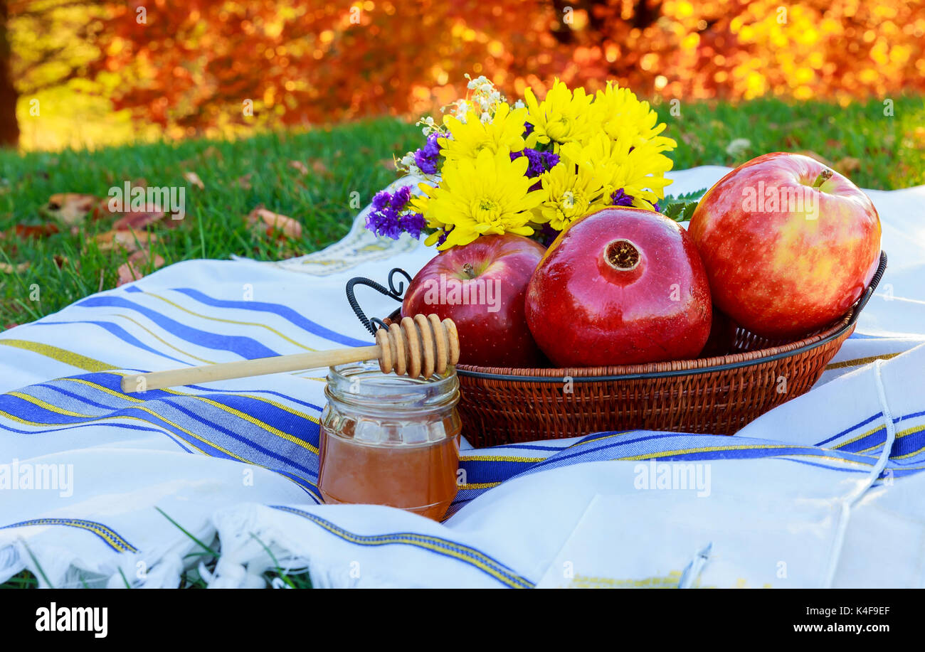Healthy ingredients for strengthening immunity on warm scarf Autumn honey apple grenades Stock Photo