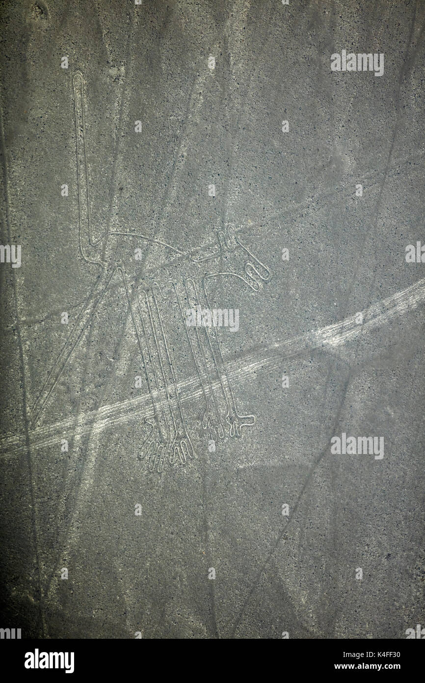 Lineas de nazca peru hi-res stock photography and images - Alamy