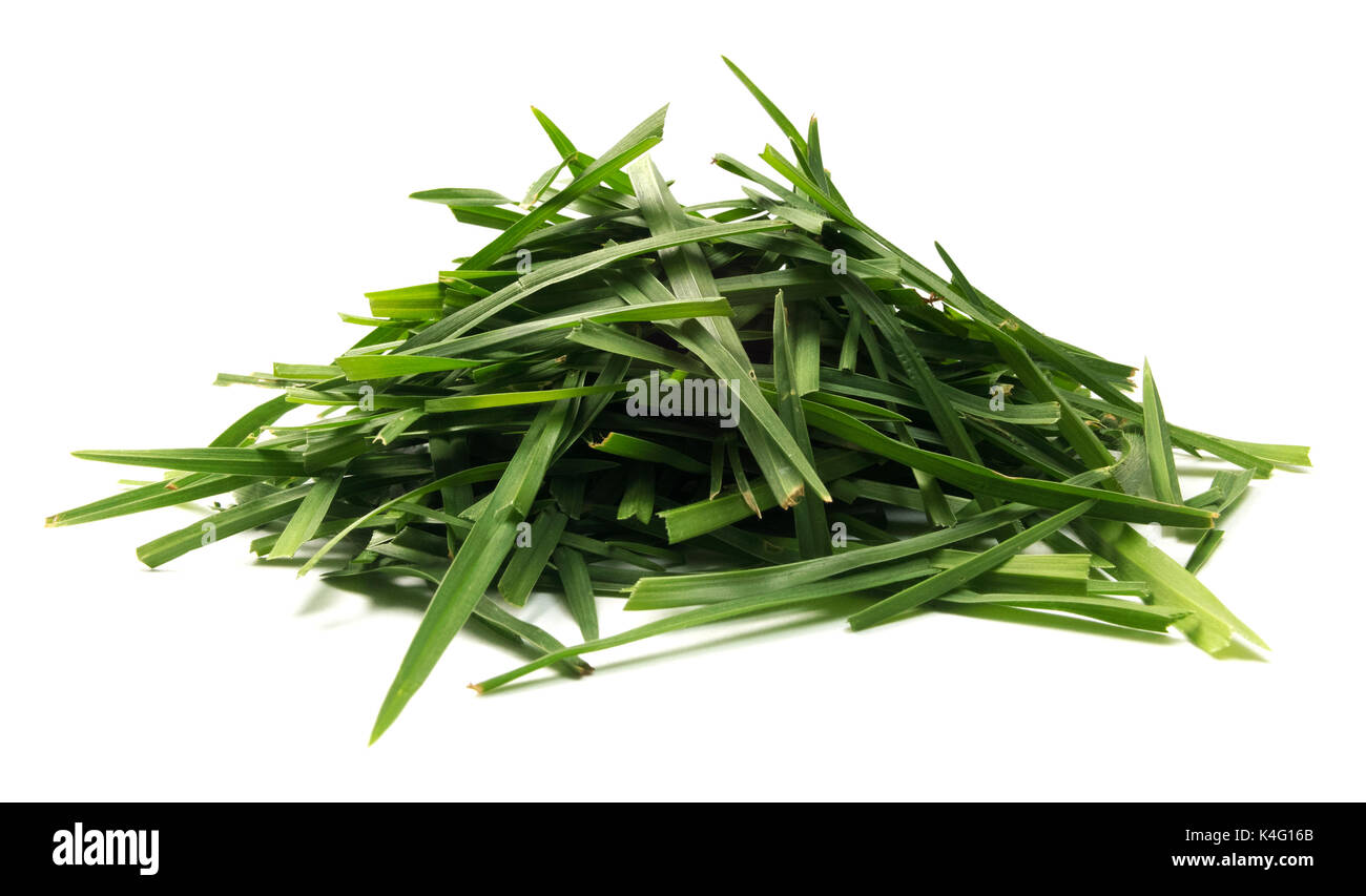 Isolated lawn grass clippings on a white background. Stock Photo