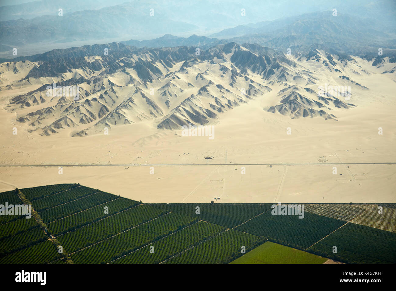 Huge plantation in the desert on the outskirts of Ica, Peru, South America - aerial Stock Photo