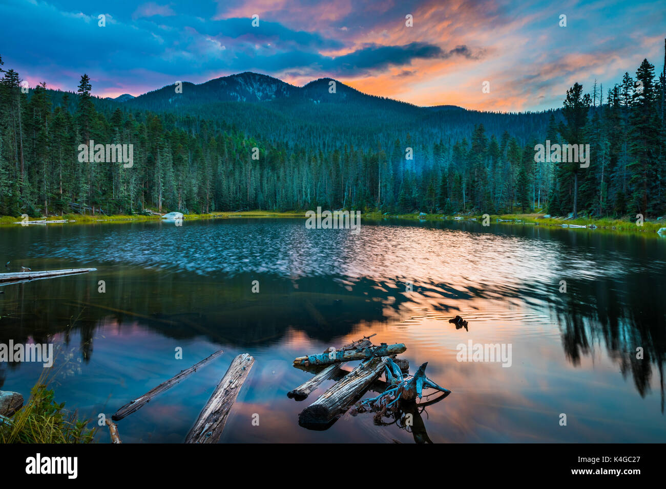 The Pecos Wilderness is a protected wilderness area within the Santa Fe National Forest and Carson National Forest. Stock Photo