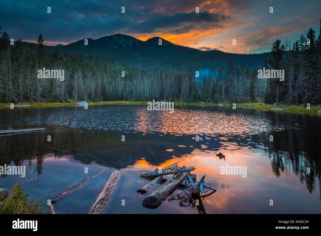 The Pecos Wilderness is a protected wilderness area within the Santa Fe National Forest and Carson National Forest. Stock Photo