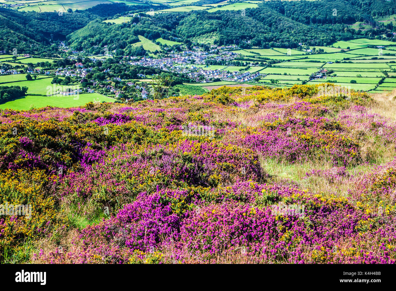 The view over Porlock in the Exmoor National Park, Somerset. Stock Photo