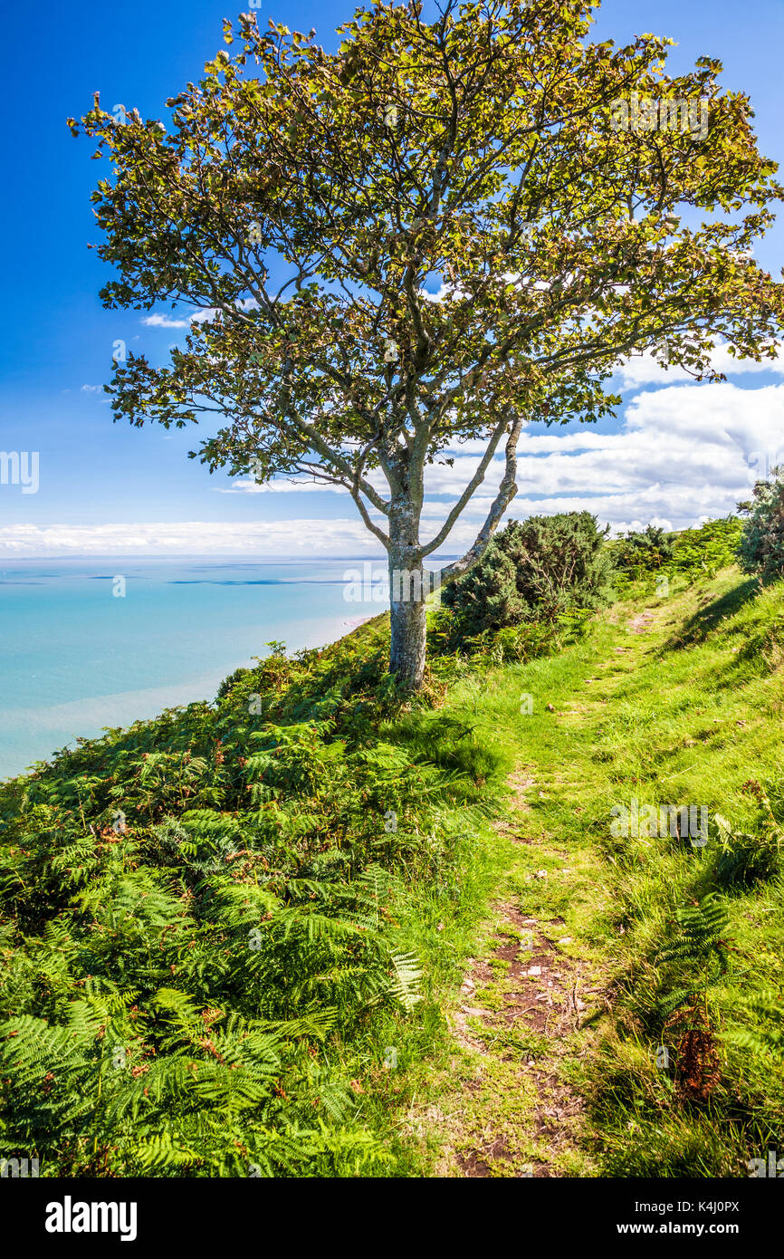 The view over the Bristol Channel from the Southwest Coast Path in the Exmoor National Park,Somerset. Stock Photo