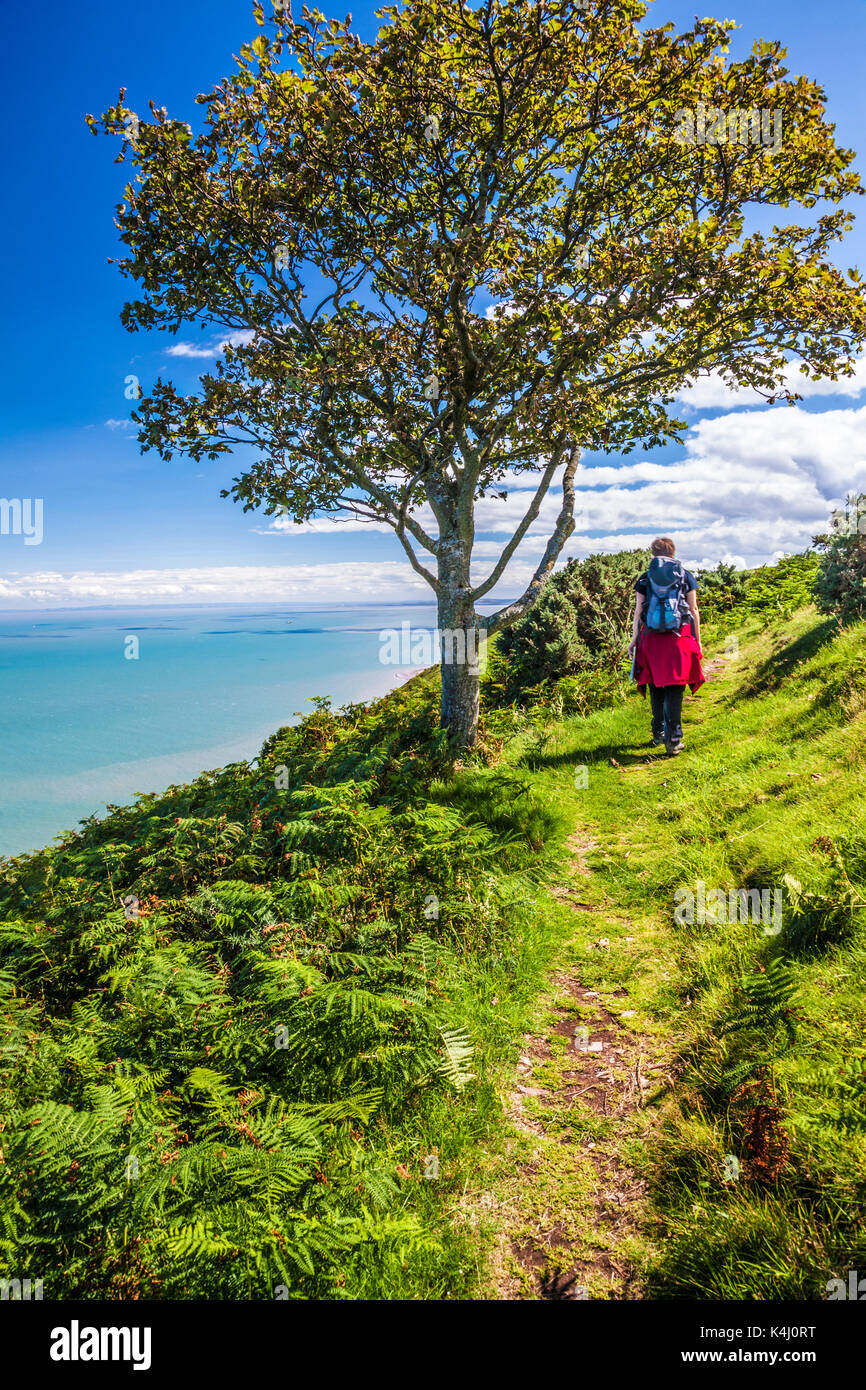Young hiker walks along the Southwest Coast Path in the Exmoor National Park,Somerset. Stock Photo
