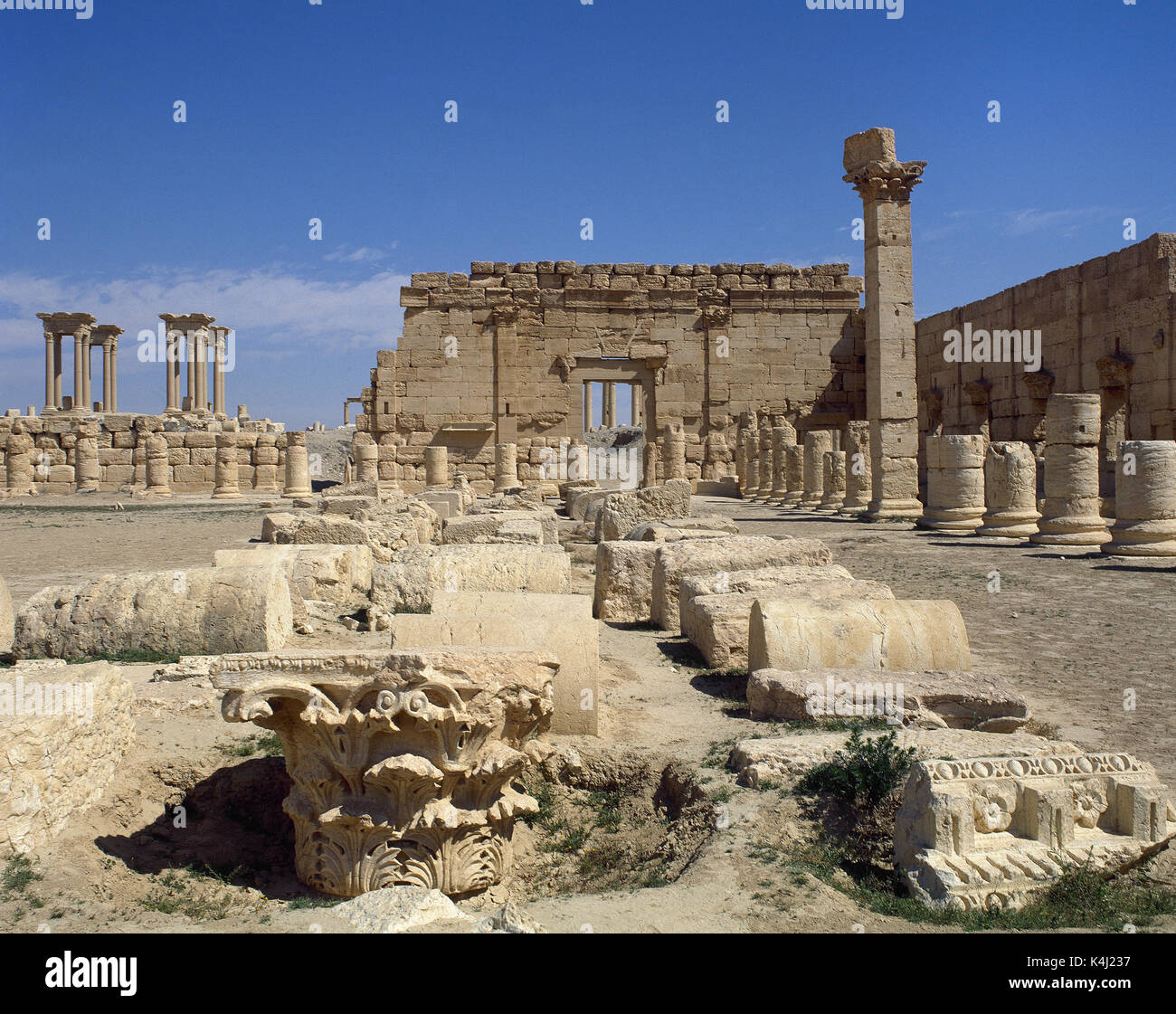 Oasis of tadmor hi-res stock photography and images - Alamy
