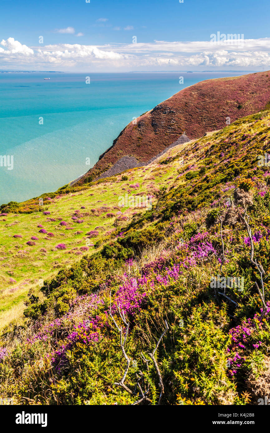 The view over the Bristol Channel from the Southwest Coast Path in the Exmoor National Park,Somerset. Stock Photo