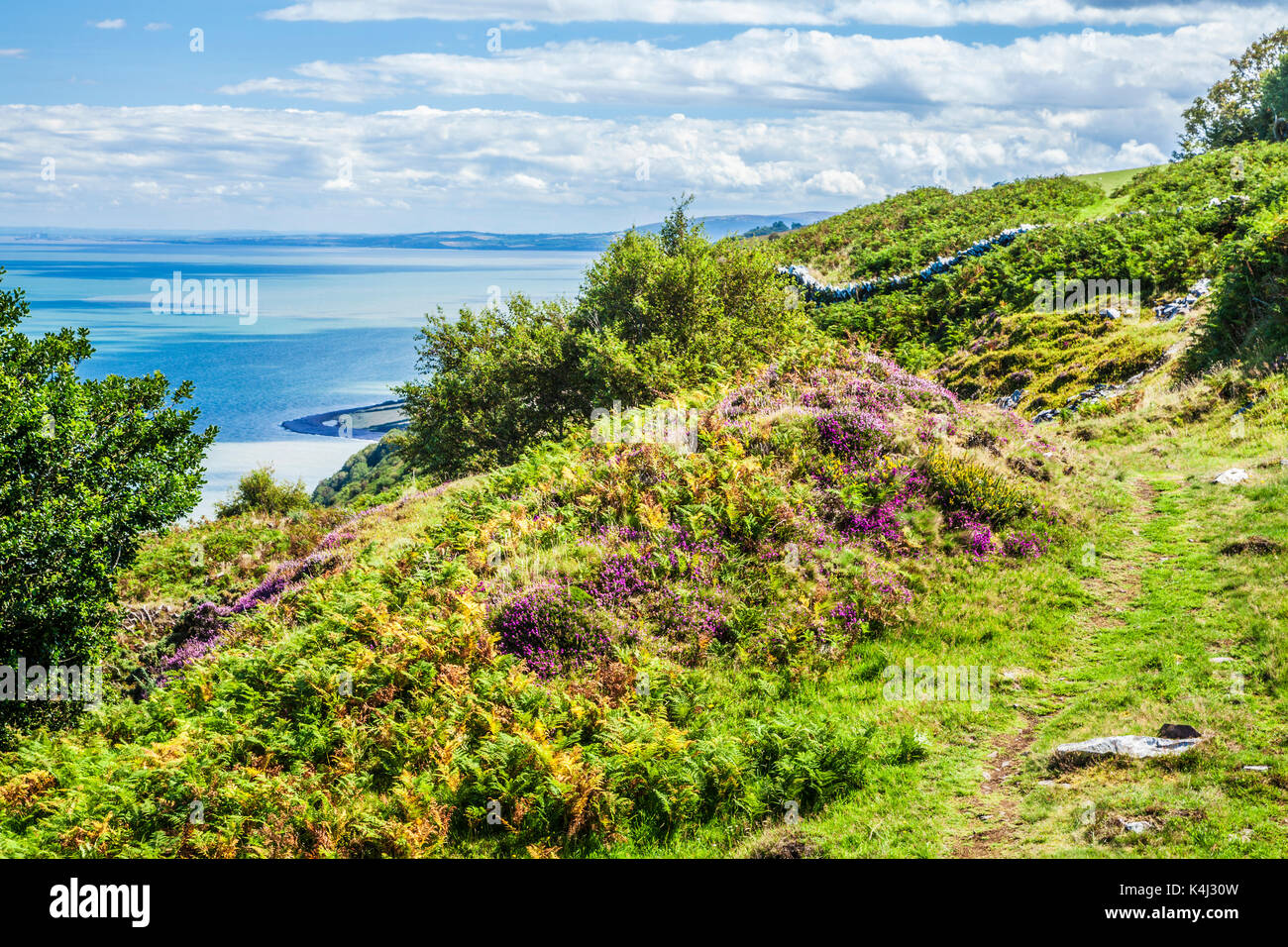 The view over the Bristol Channel from the Southwest Coast Path in the Exmoor National Park,Somerset. Stock Photo
