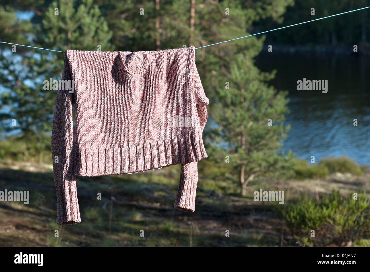 A pink knitted sweater is drying on a rope in the forest among the trees. Stock Photo
