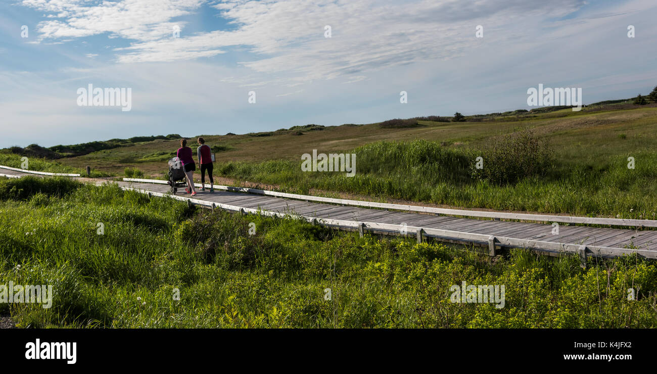 Family walking on boardwalk in landscape, Inverness, Mabou, Cape Breton Island, Nova Scotia, Canada Stock Photo