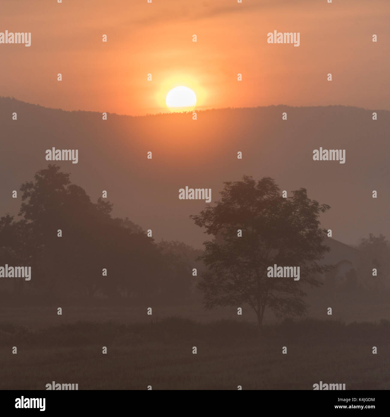 Sunrise lens flare over field hi-res stock photography and images - Alamy