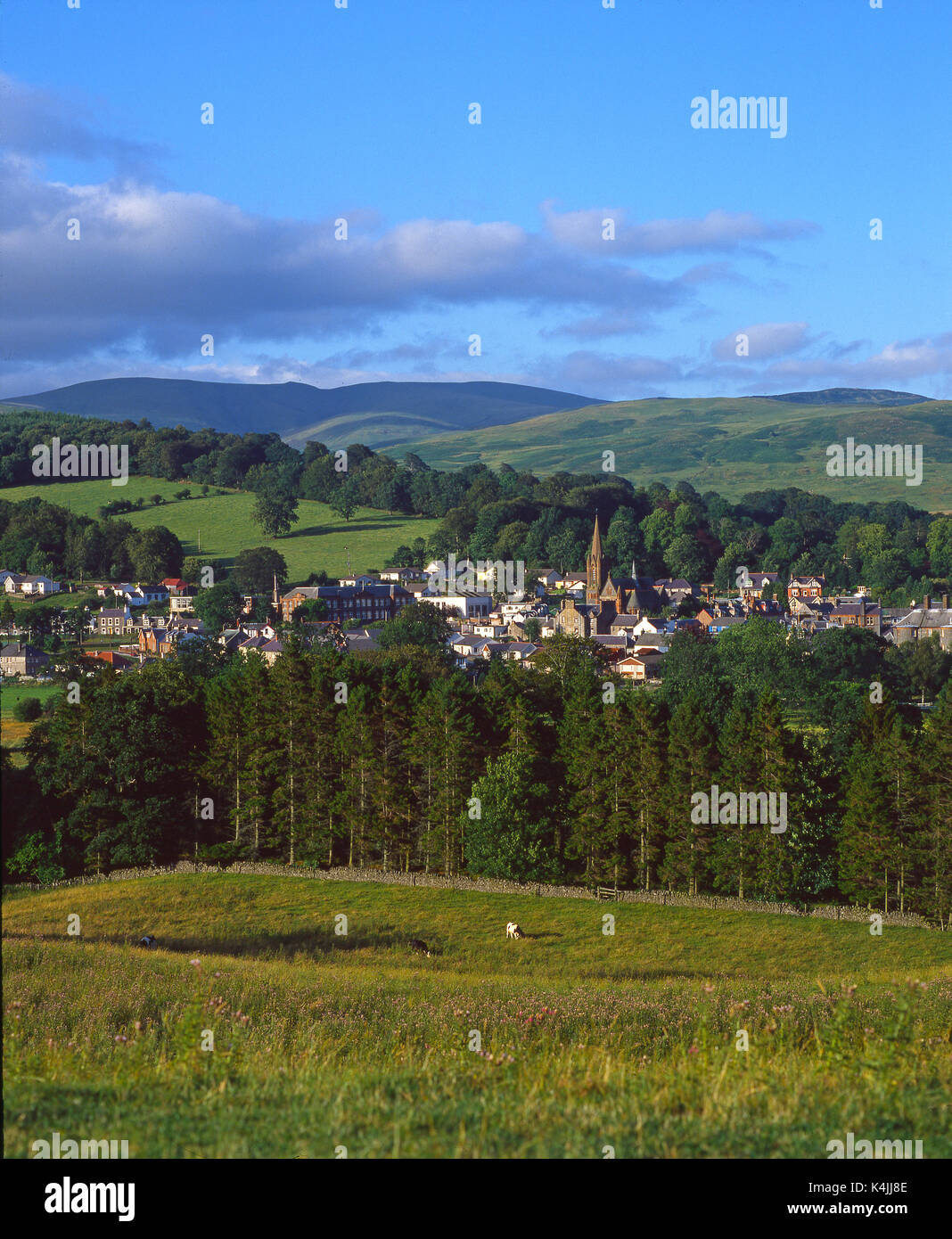 View looking towards the Borders town of Moffat, Dumfriesshire Stock Photo