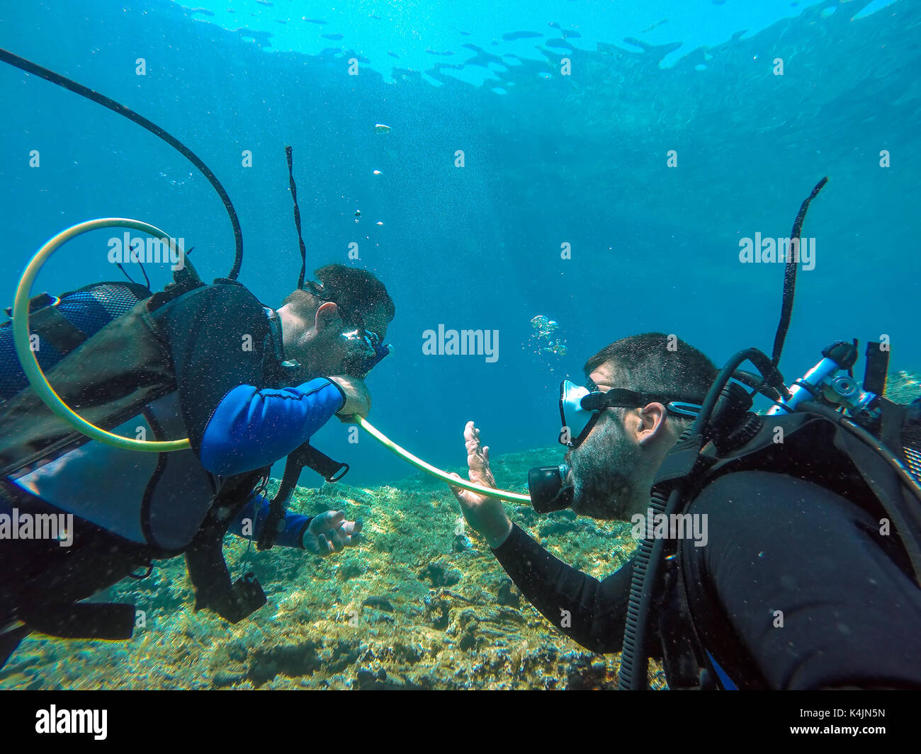 A helpful dive buddy shares his air. Scuba diver using hand gestures to communicate with his dive buddy. Stock Photo