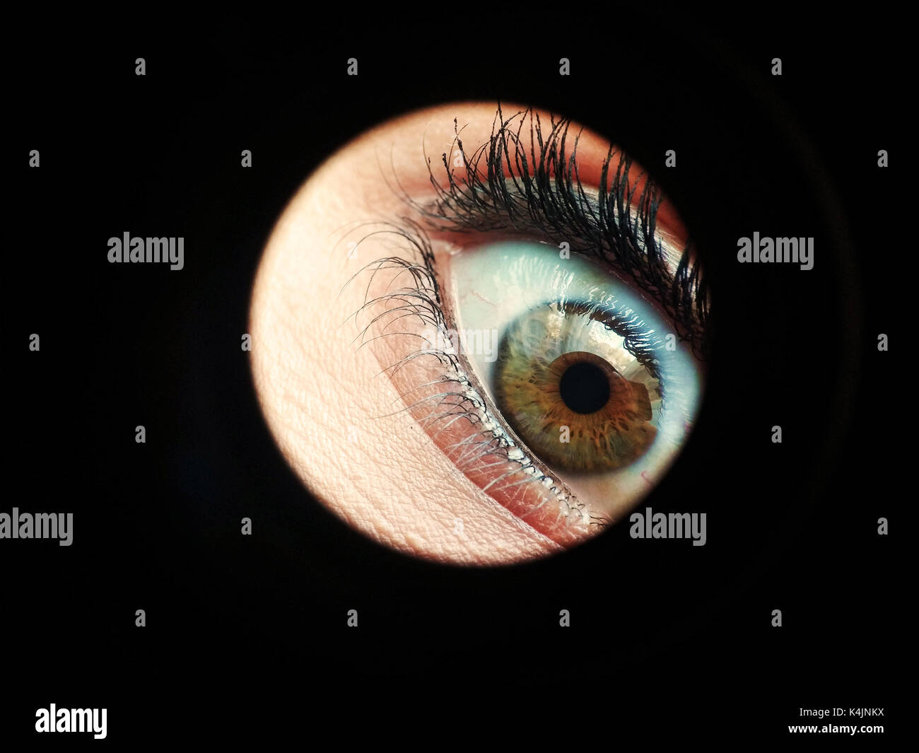 Woman fear hi-res stock photography and images - Alamy