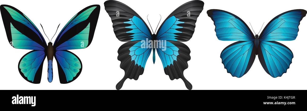 Set of colorful realistic butterflies Stock Vector