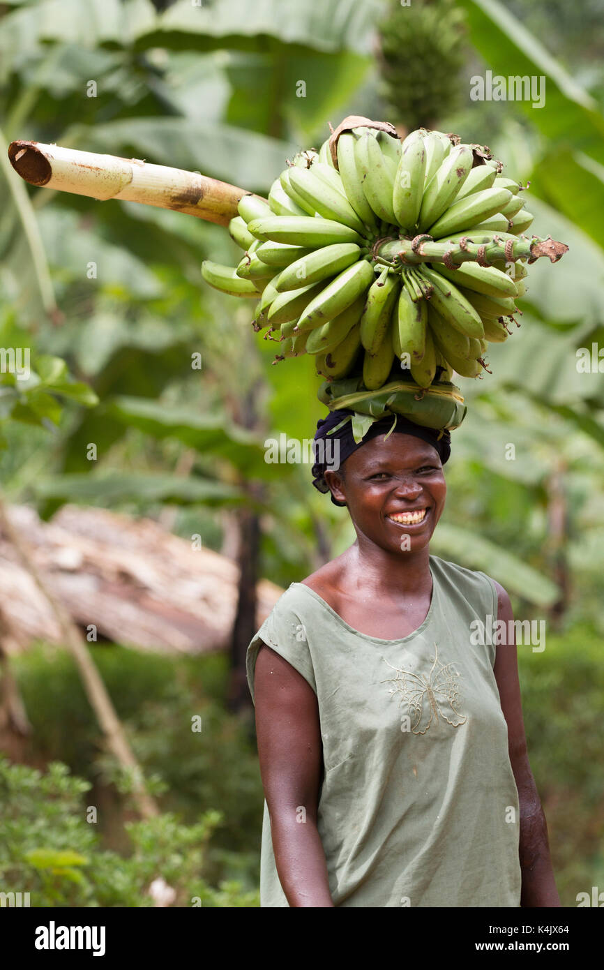 African woman carrying bananas on hires stock photography and images