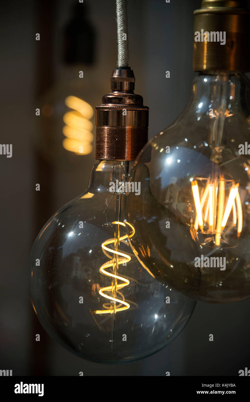 A selection of filament lightbulbs glowing in a shop window. Credit ...