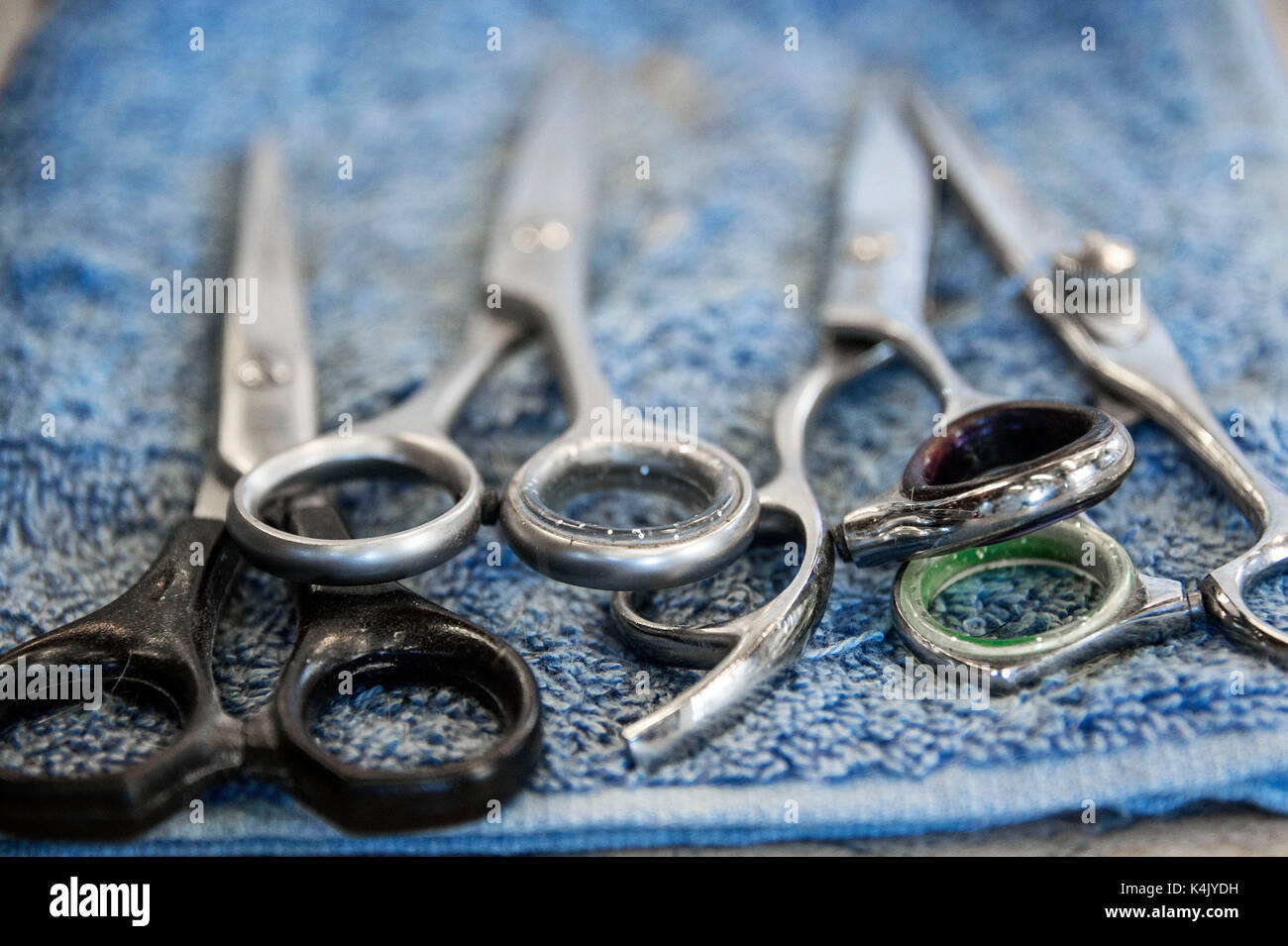 Barber scissors hires stock photography and images Alamy