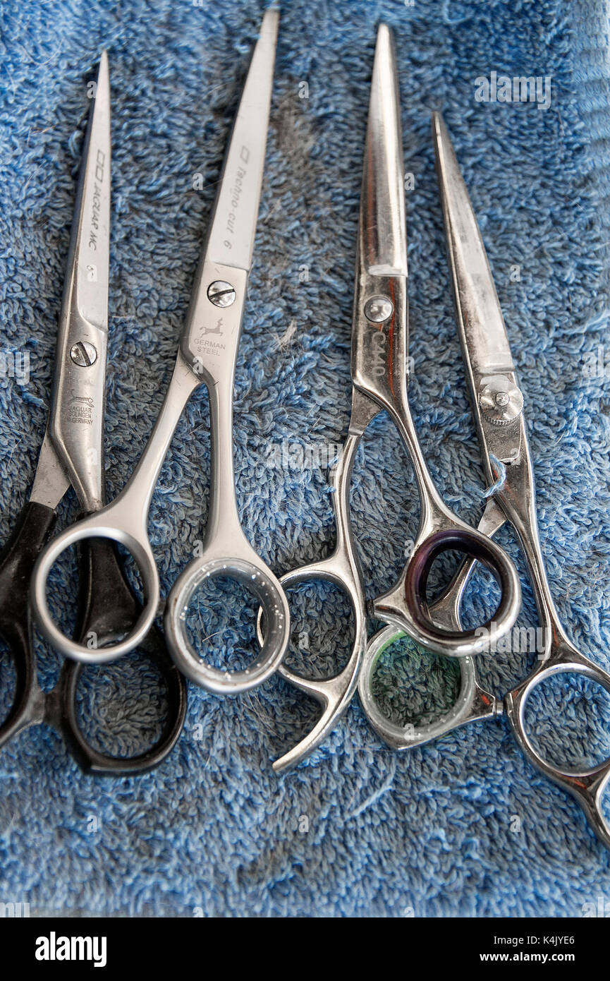 Barber scissors hires stock photography and images Alamy